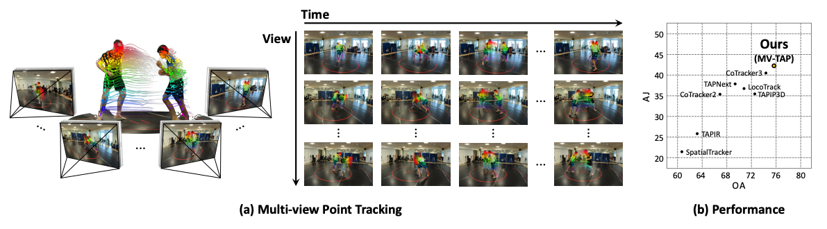 MV-TAP: Tracking Any Point in Multi-View Videos